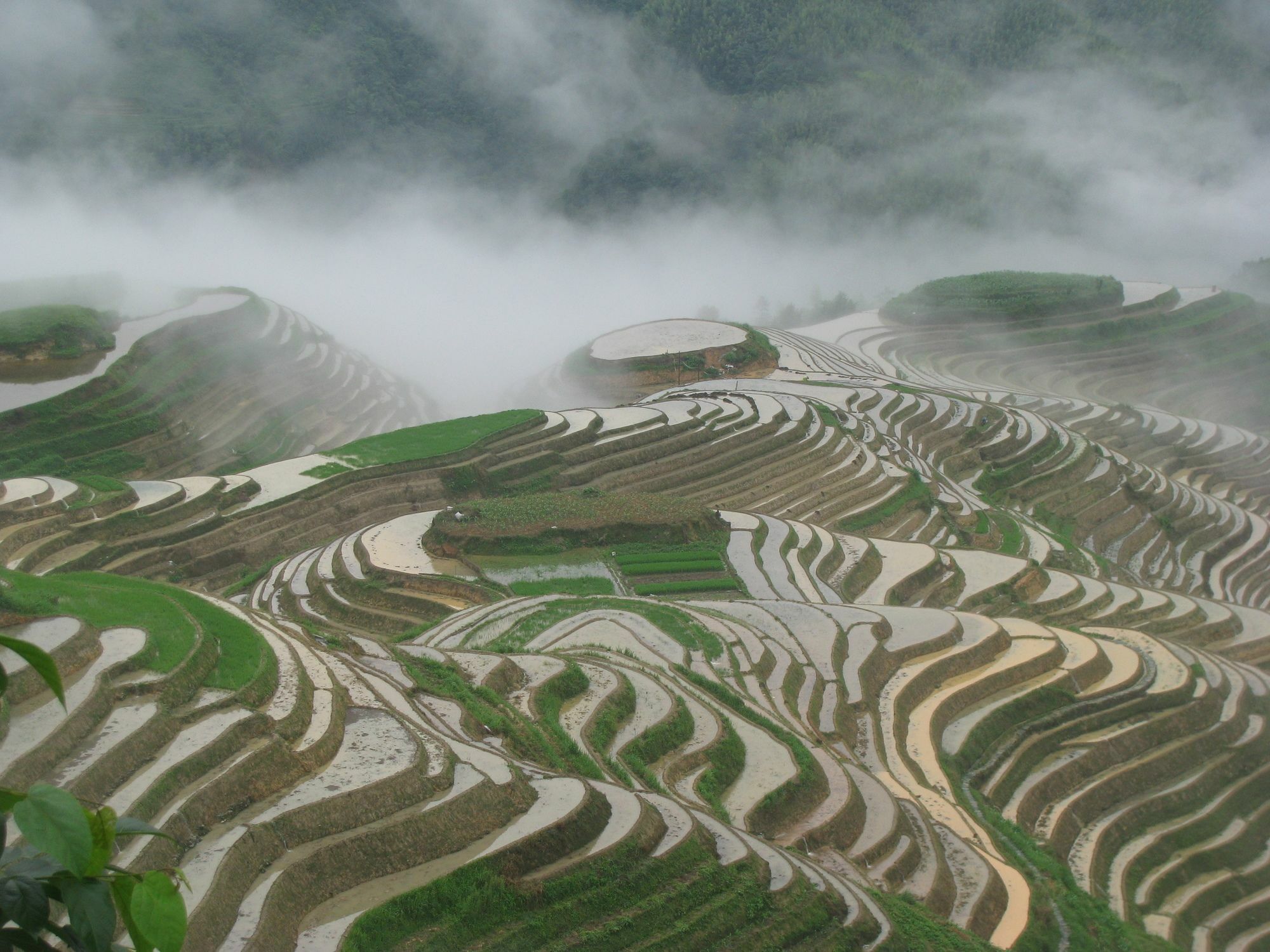 Yangshuo Mountain Nest Boutique Hotel מראה חיצוני תמונה